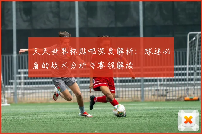 天天世界杯贴吧深度解析：球迷必看的战术分析与赛程解读