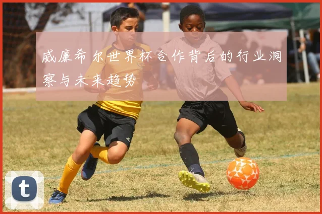 威廉希尔世界杯合作背后的行业洞察与未来趋势
